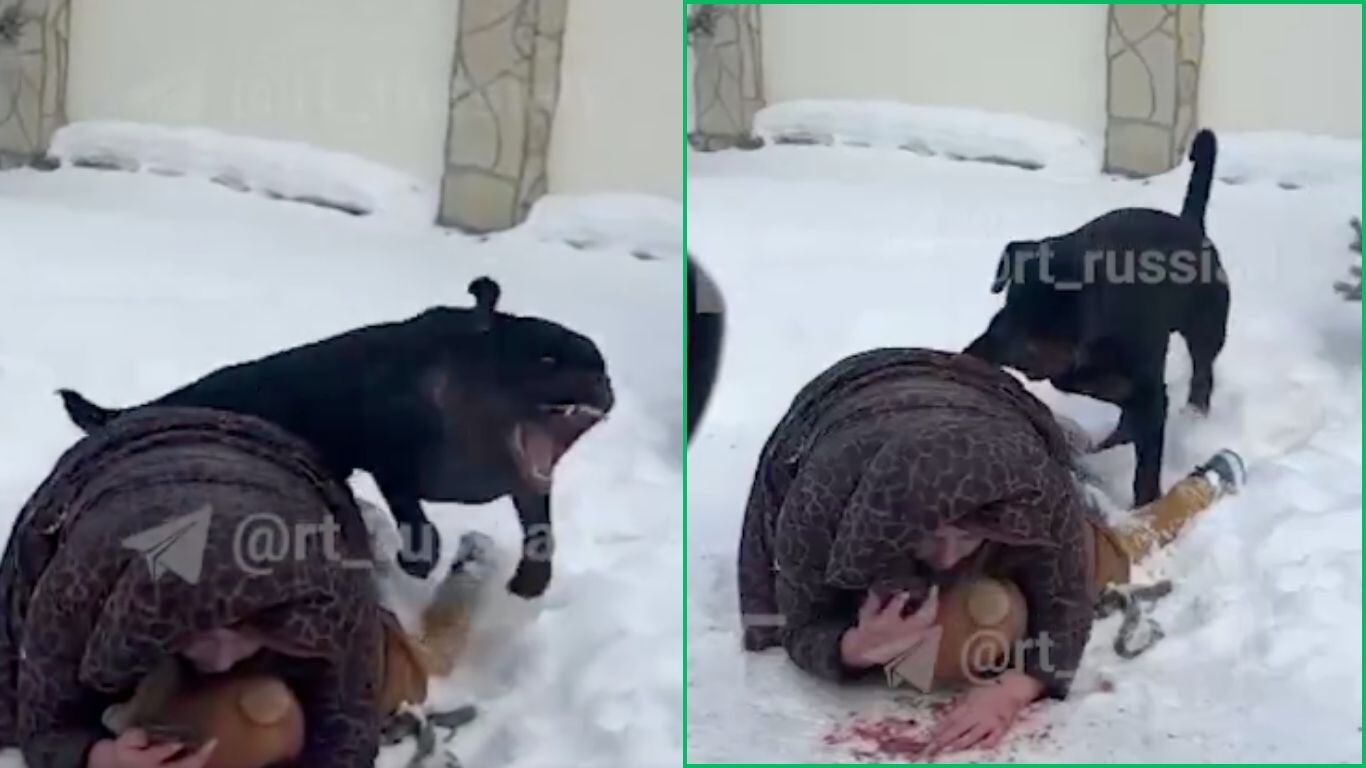 Perro ataca a niño y su madre