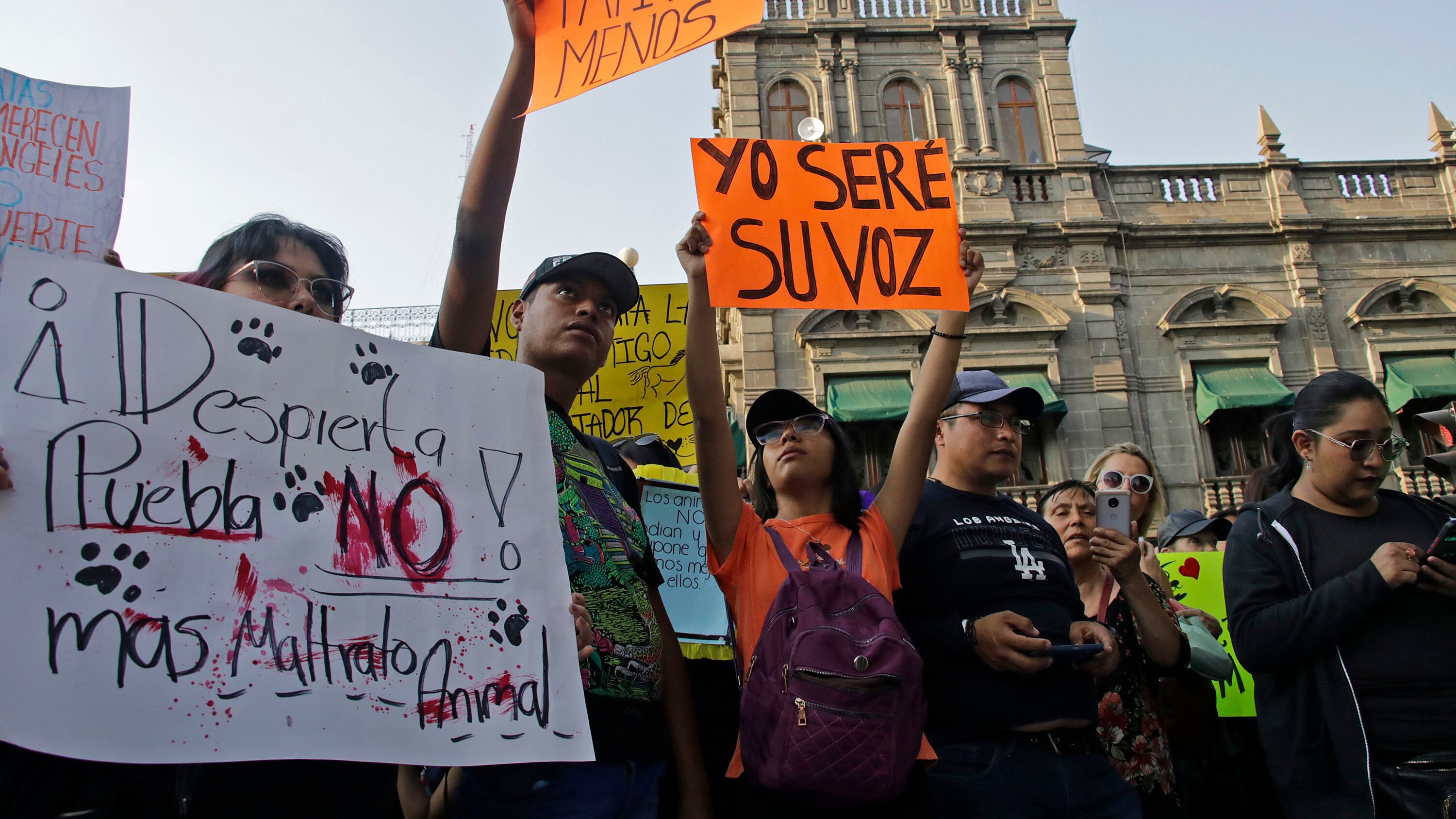 Las redes sociales han colaborado a difundir los casos.