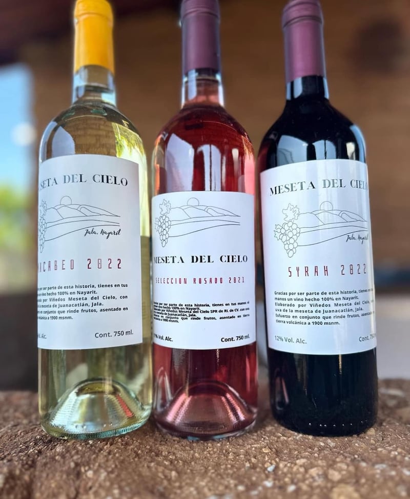 Vinos Meseta del Cielo