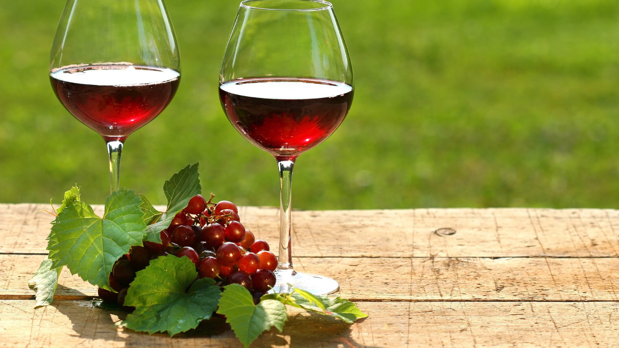 Este evento presenta la oportunidad de entrar a la cultura del vine de mano de los expertos