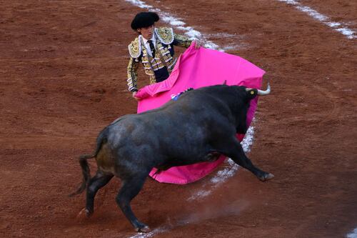 Victoria para los taurinos: Jueza niega suspensión definitiva a las corridas de toros en CDMX