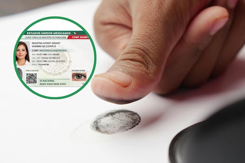 Estos son los trámites para los que necesitarías CURP biométrica