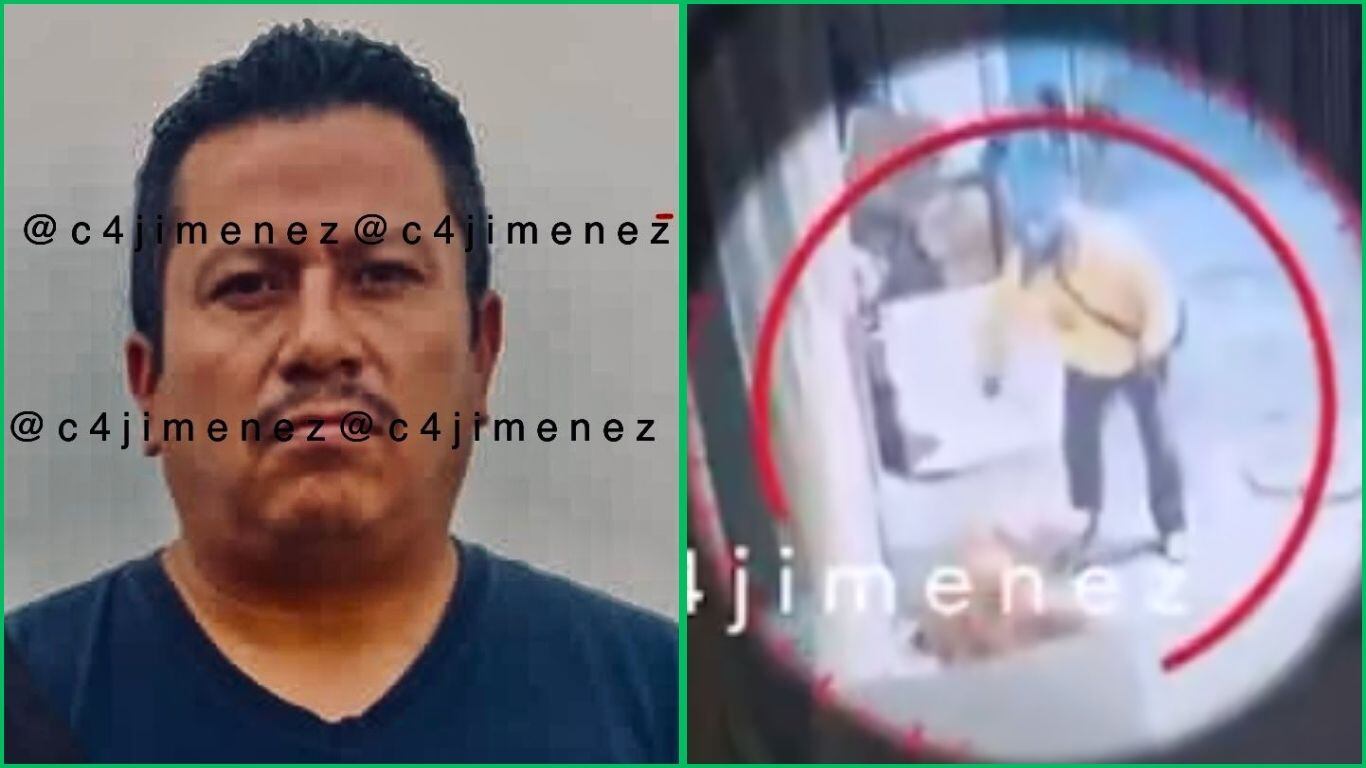 Sigue estos pasos para denunciar el maltrato animal en la CDMX: