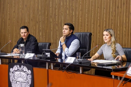 Descarta Felifer gastar 30 mdp en plebiscito de teleférico