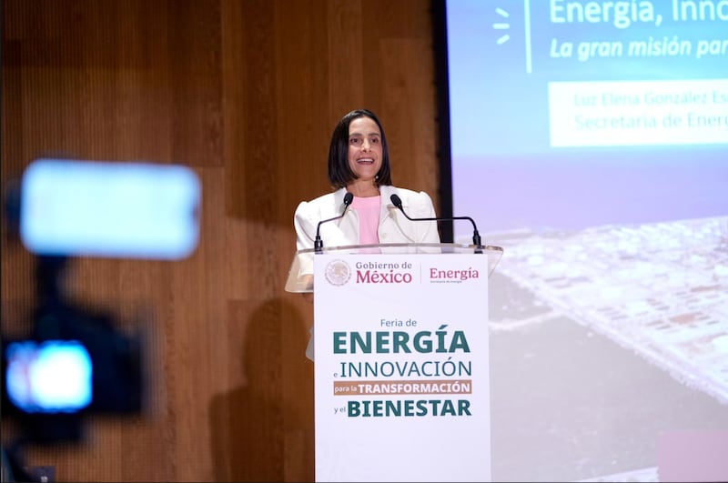 La secretaria de Energía, Luz Elena
González Escobar