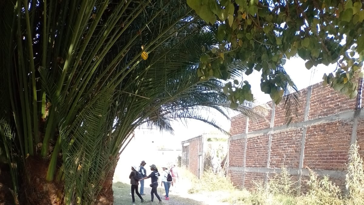 Reporte de un perro con una parte humana en el hocico derivó en hallazgo de 53 bolsas con restos humanos.