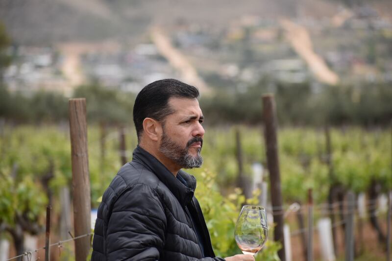 Vinos Meseta del Cielo