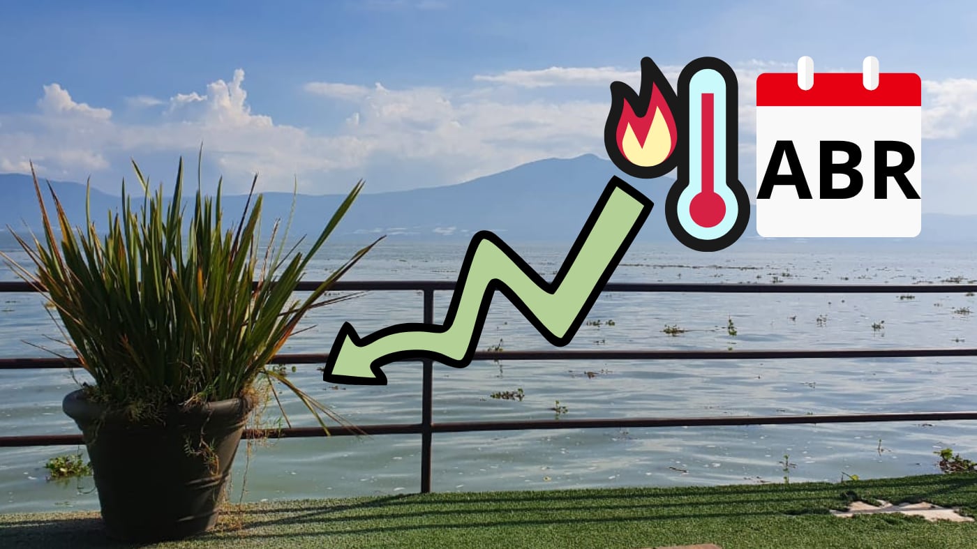 PUBLIMETRO MÉXICO/ MARIANA A. SÁNCHEZ/ ESPECIAL/ CANVA