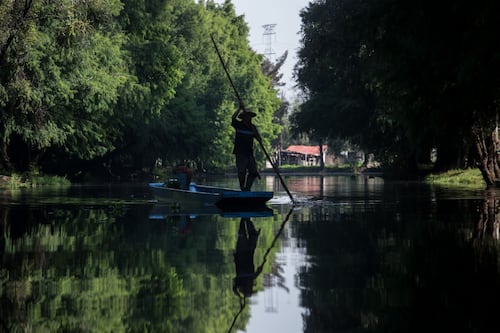 De Xochimilco para el mundo: CDMX celebrará el Día del Chinampero en noviembre
