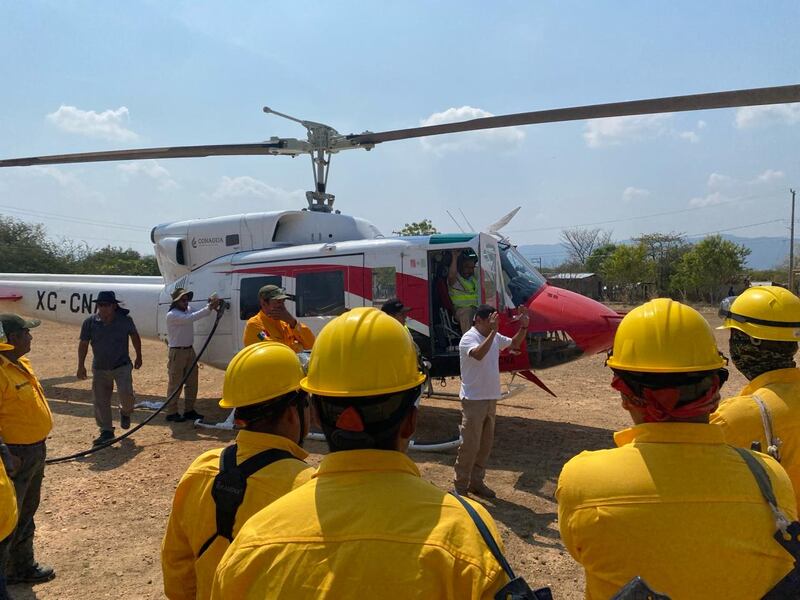 ¿Cómo combaten los incendios forestales en Oaxaca?