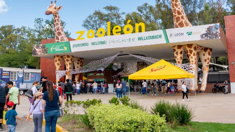 El Consejo Directivo revocó la designación aprobada el 30 de enero y abrirá nueva terna para dirigir el Zoológico de León.