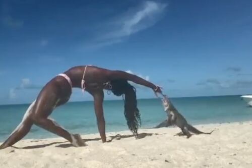 Iguana muerde a instructora de yoga mientras daba una clase