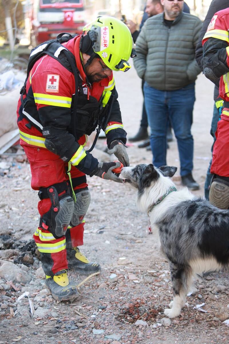 Grupo de rescate “Frida”: Grupo de caninos apoyan en Turquía y Siria tras sismo