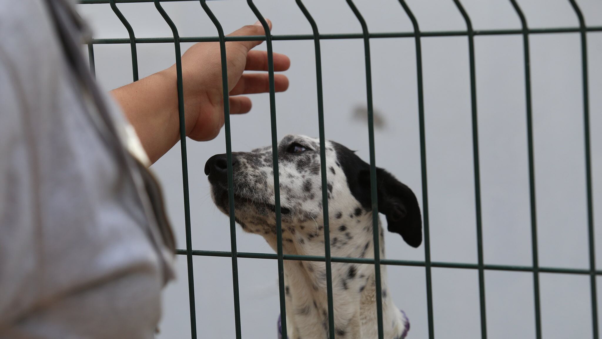 El documento será enviado a comisiones para su estudio y validación.