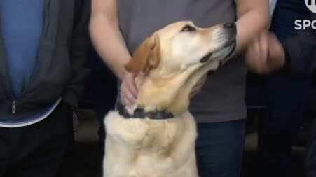 El estadio del Lutton Town es de los más curiosos en la liga ya que, está dentro de una unidad habitacional.