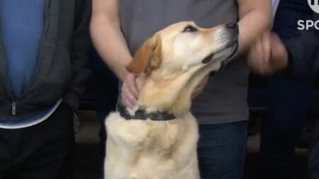 El estadio del Lutton Town es de los más curiosos en la liga ya que, está dentro de una unidad habitacional.