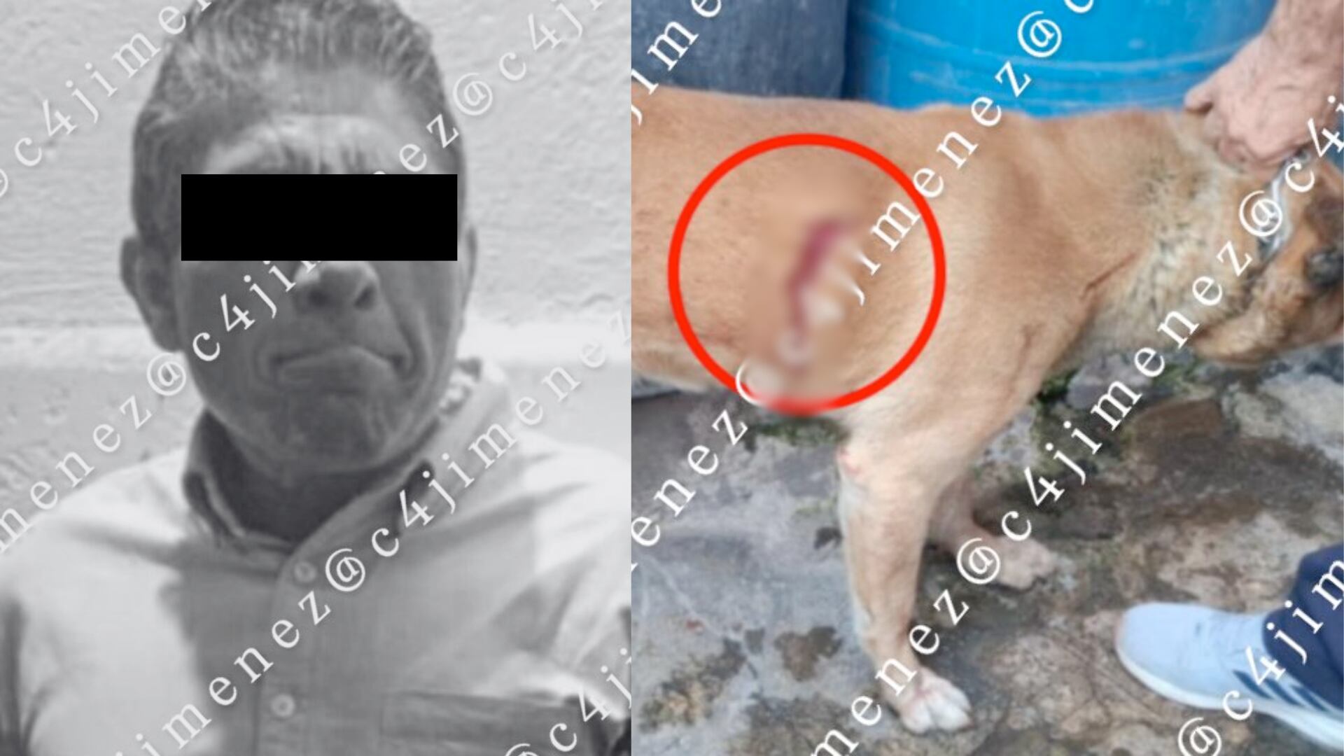 De acuerdo con la SSC, el padre del implicado alertó a policías tras la violenta reacción de su hijo.