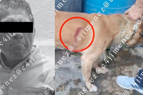 Ebrio y violento: hombre apuñala a sus perros tras discutir con su padre en Iztapalapa