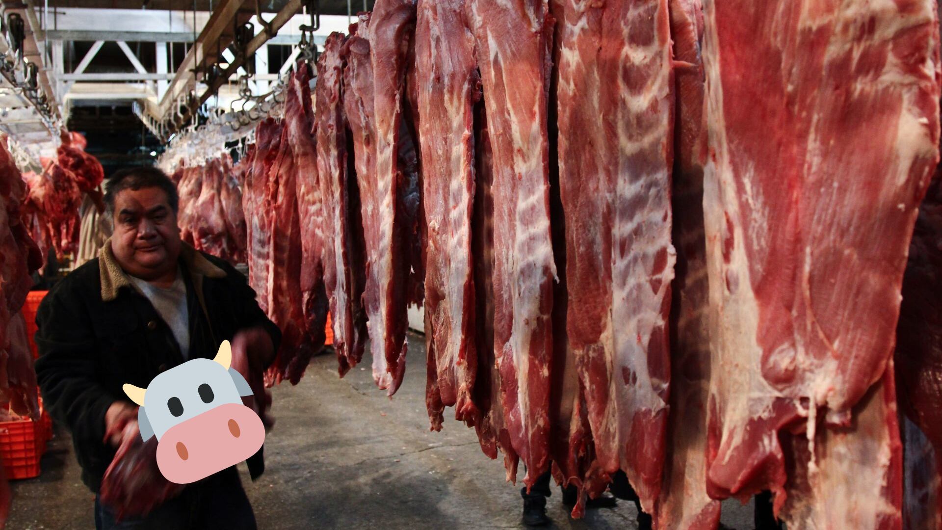 El ganado y carne de res fueron los productos más afectados, con un desplome de casi 15% entre enero y marzo de 2025.