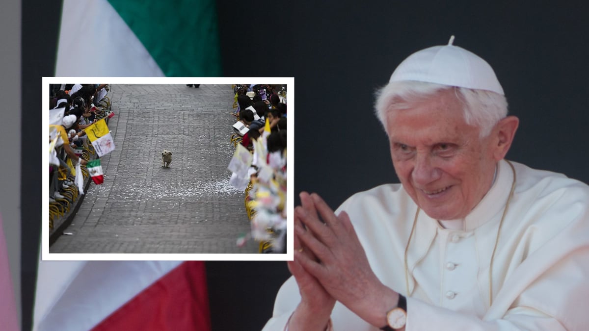 En marzo de 2012 el papa realizó una gira por el estado de Guanajuato