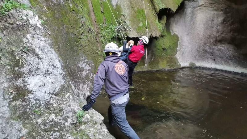 El rescate se logró con un equipo de cuerdas