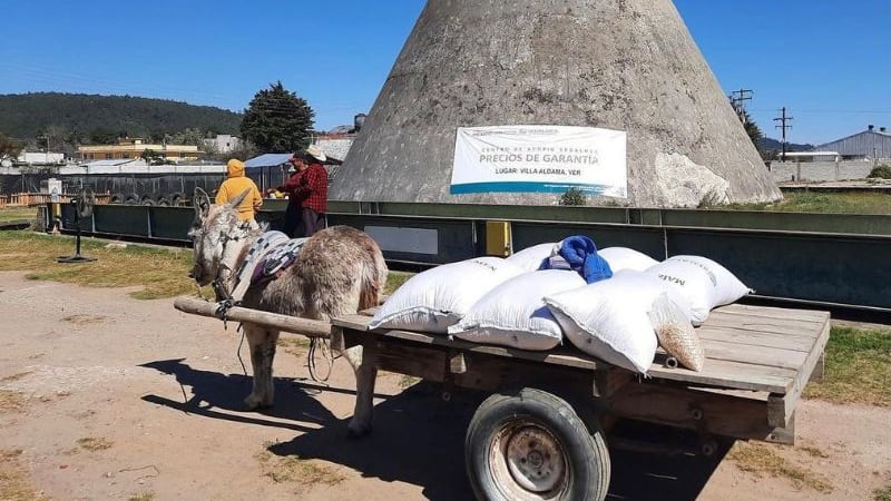 Robo de 250 toneladas de maíz en almacén de Segalmex en Michoacán