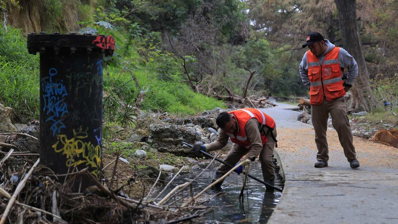 Los niveles de contaminación en el Río la Silla afectan el entorno y la fauna.