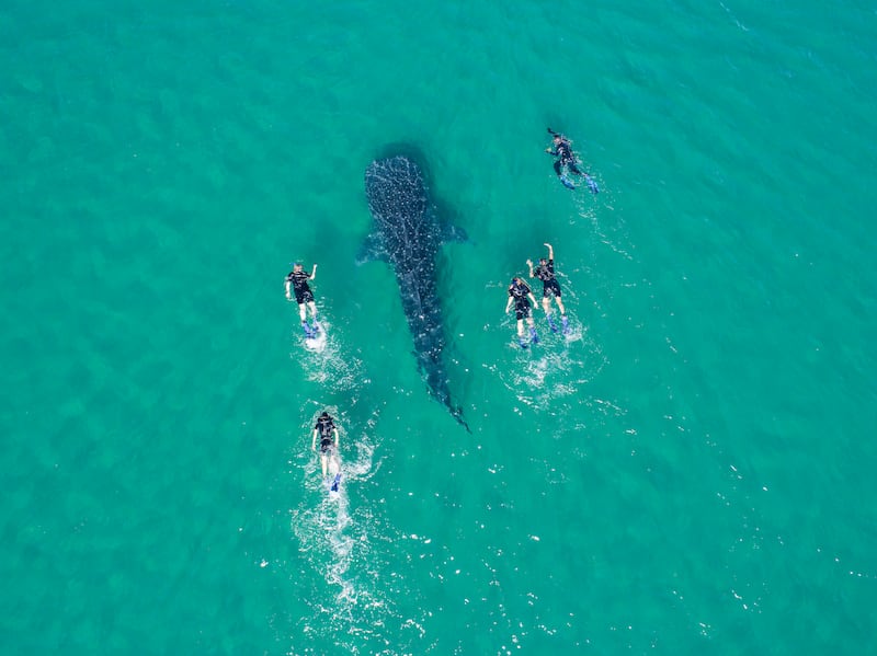 Tianguis Turístico 2026 La Paz