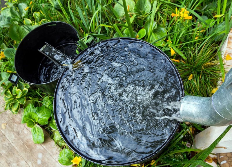 Agua de lluvia.