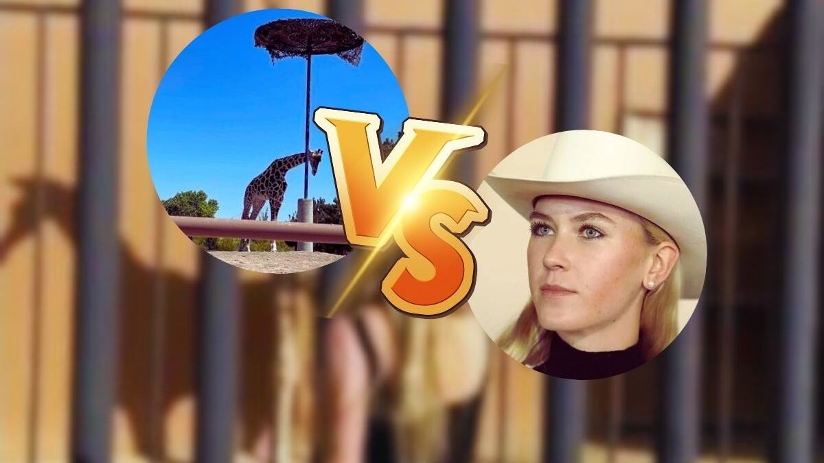 ¿Busca su rescate? Colectivo ‘Salvemos a Benito’ denuncia polémico caso de jirafa de los Hank