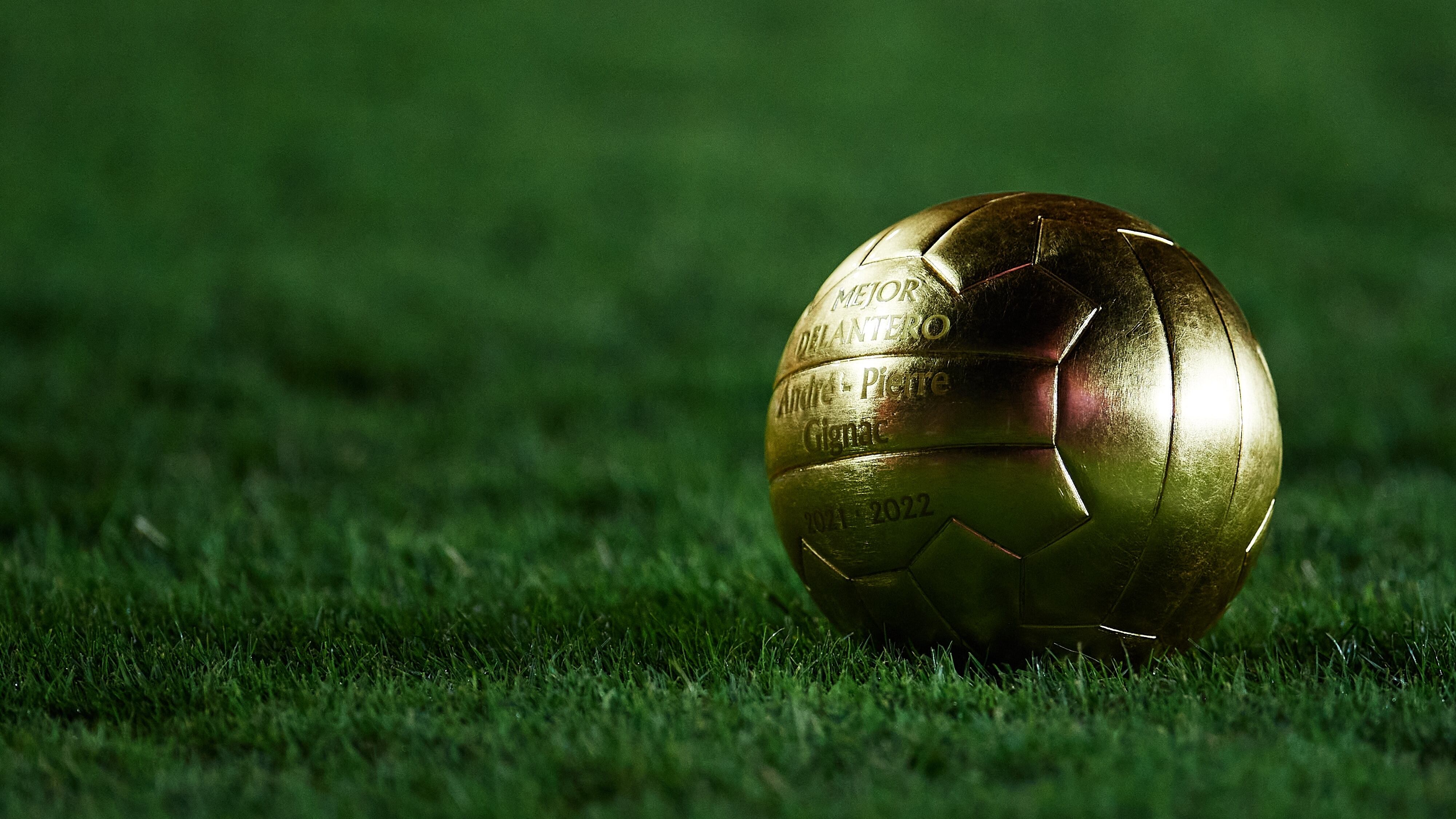 Estos futbolistas fueron nombrados los mejores de la temporada