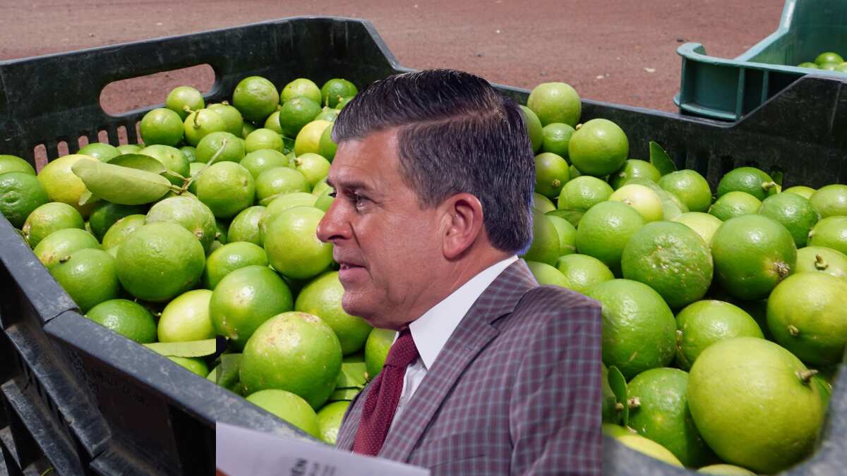 Ricardo Sheffield descartó aumentos en el precio del limón