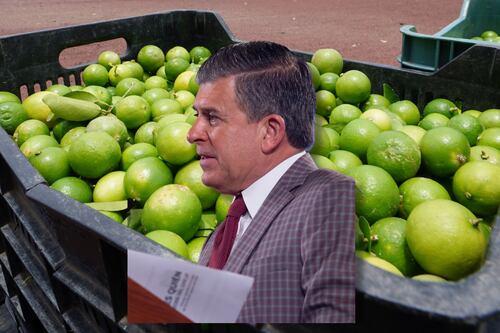 “Puras mentiras” que precio del limón haya aumentado: Profeco