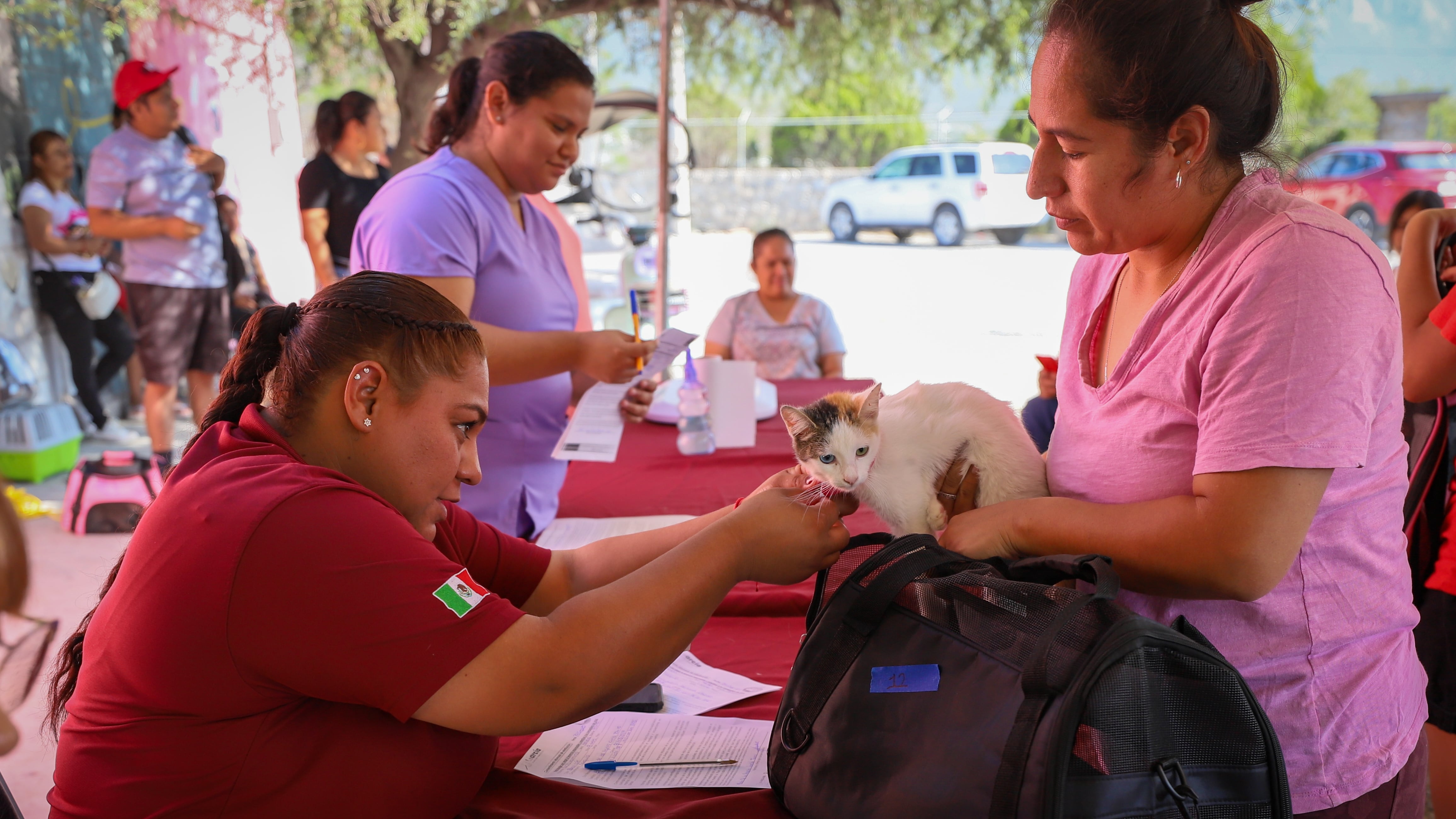 Habrá puestos de vacunación en centros de salud y lugares estratégicos.