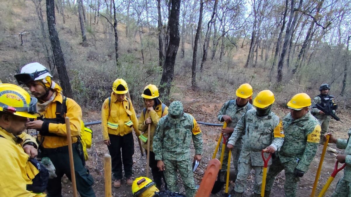 187 elementos trabajan para controlar el incendio de Santa Rosa.