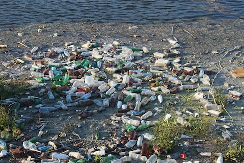 Día Mundial del Medio Ambiente, estas son las apps que premian el reciclaje