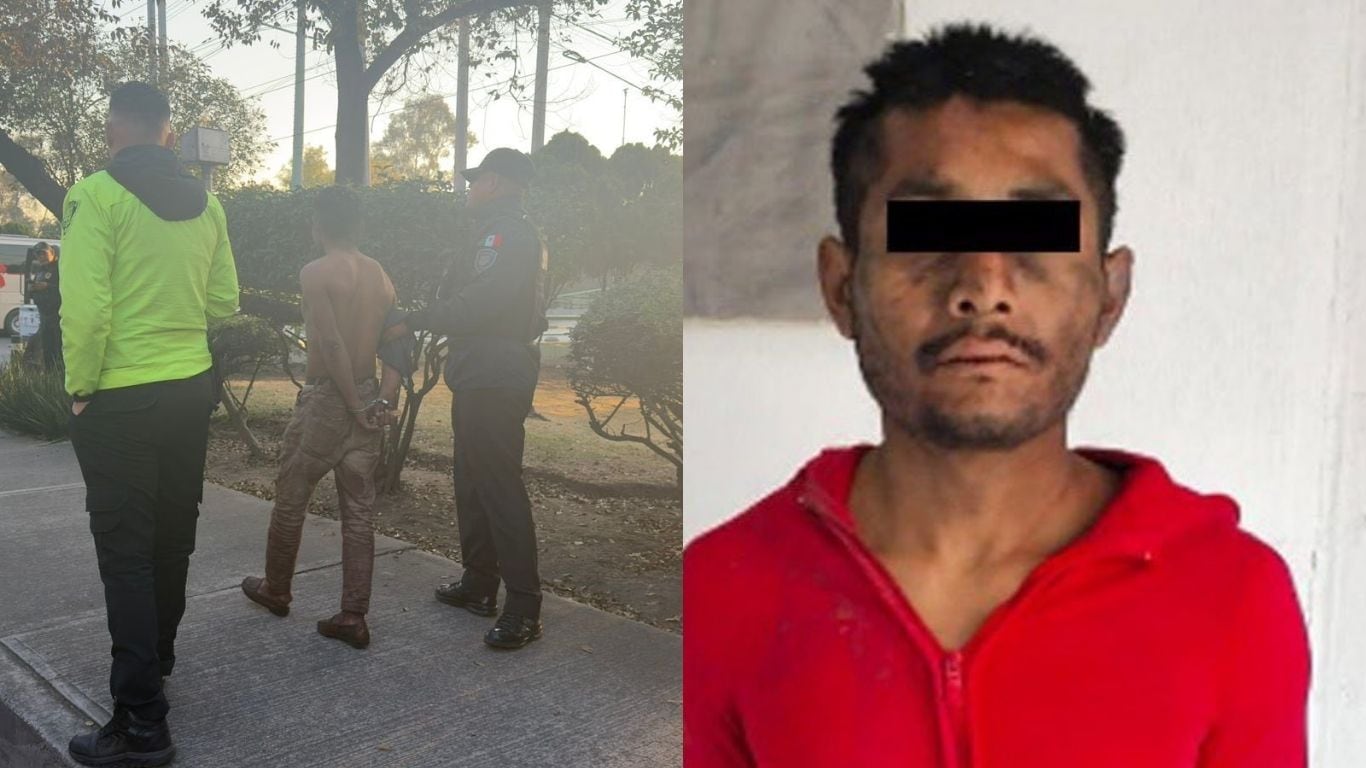 Detienen a hombre por maltrato animal