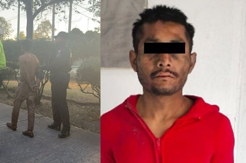 Detienen a hombre por brutal maltrato animal: desolló a un perro en la GAM