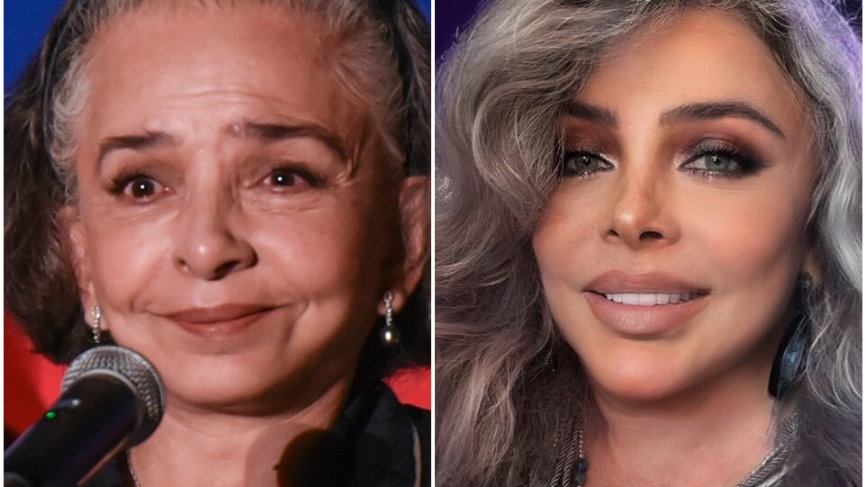 Carlos Carrera, Ana Martín y Verónica Castro serán homenajeados en Guanajuato