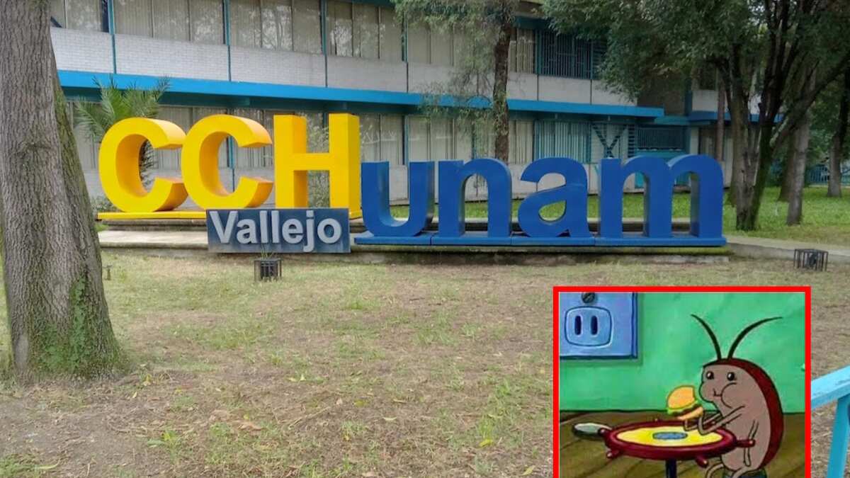 Los planteles realizarán la fumigación como una medida preventiva. (Especial)