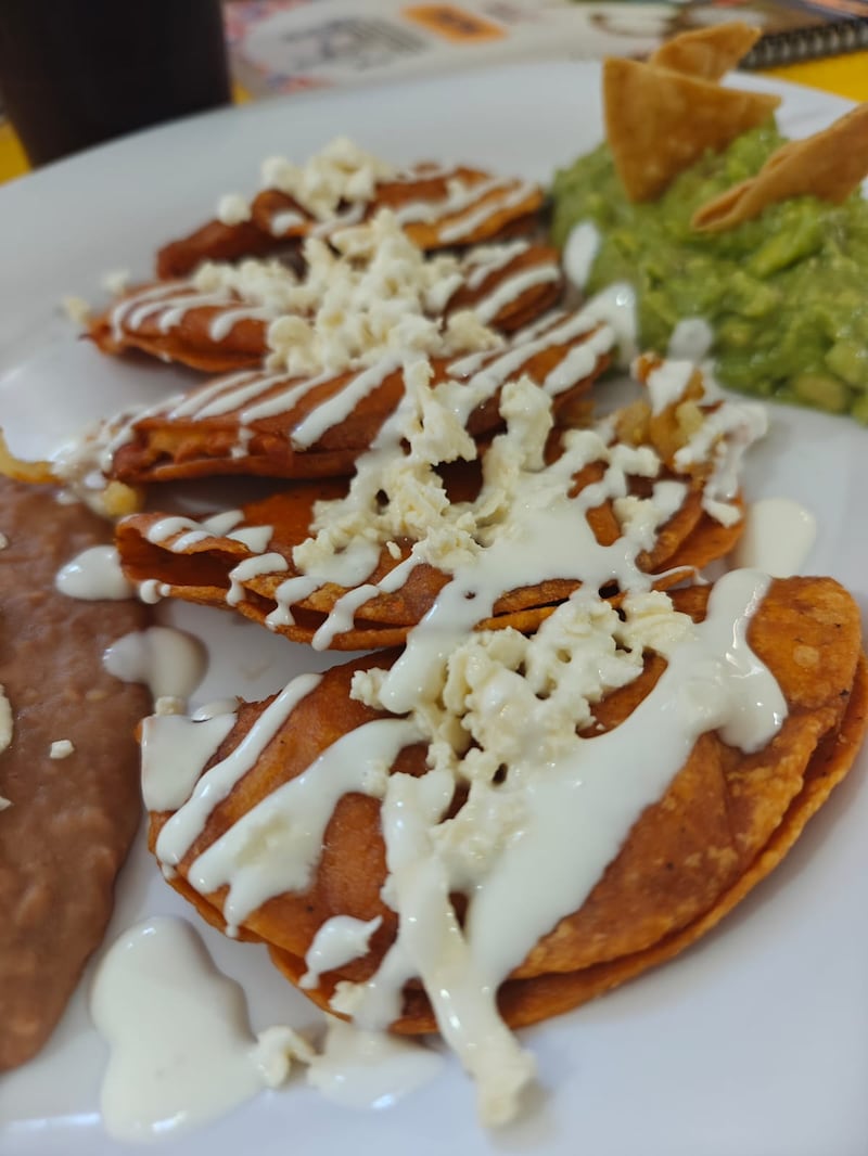 Visitar BMW Group Planta San Luis Potosí es una experiencia única que si la complementas con museos y gastronomía local, tendrás un viaje completo que mezcla motores, cultura y buen comer