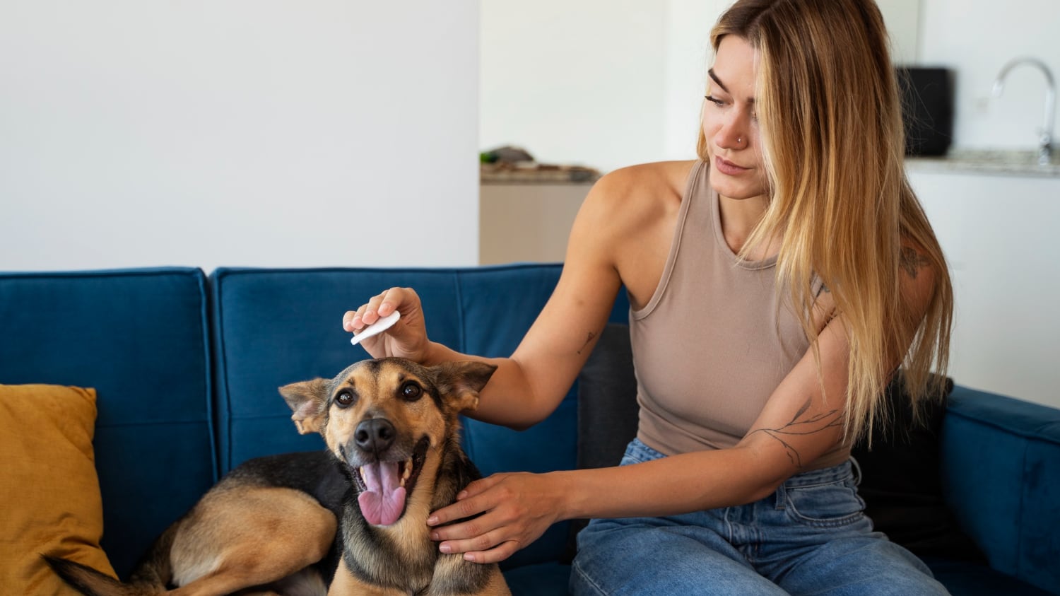 Estos parásitos son una amenaza constante durante todo el año. Conoce las maneras de proteger a tu mascota de ellos.