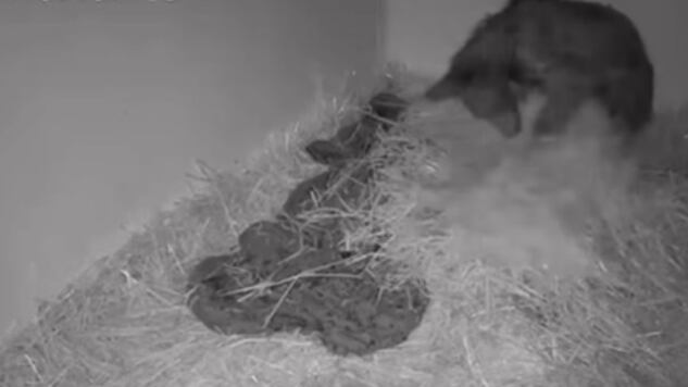 Mina ha dado muestras de querer salir adelante y recuperar su salud.