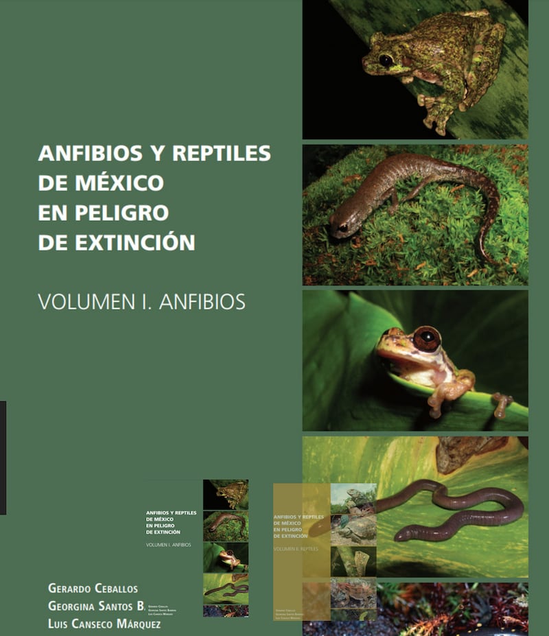 Anfibios y reptiles de México