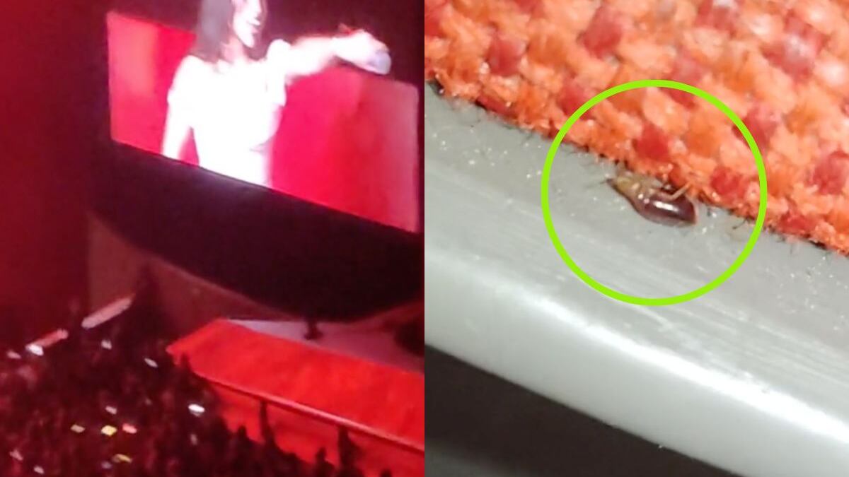 auditorio-nacional-chinches-conciertos-tiktok