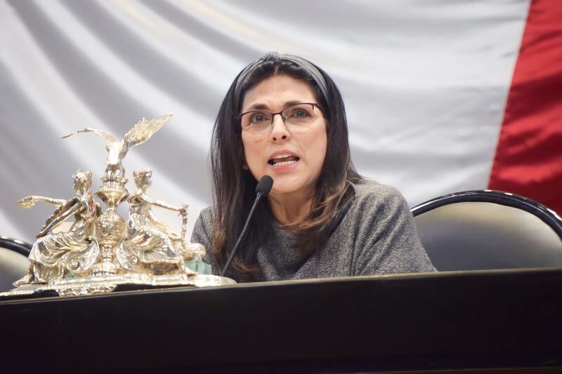 La diputada federal Marcela Guerra recordó que el 28% de la población del país es gente joven.