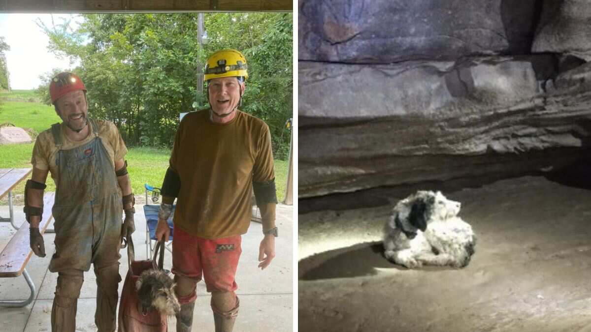 logró ser rescatada por Haley y Keene. (Facebook)