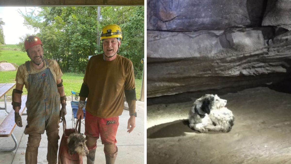 logró ser rescatada por Haley y Keene. (Facebook)