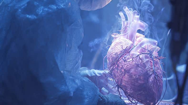 En Nuevo León hace falta fomentar la cultura de la donación.