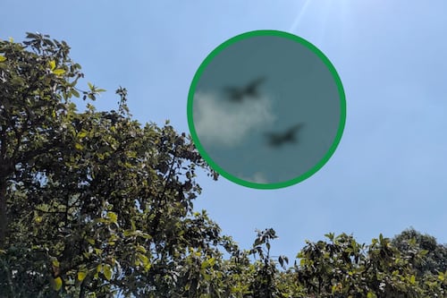 ¿Ruidos extraños en el cielo de Tlalpan? Vecinos captan estruendos y descubren su origen